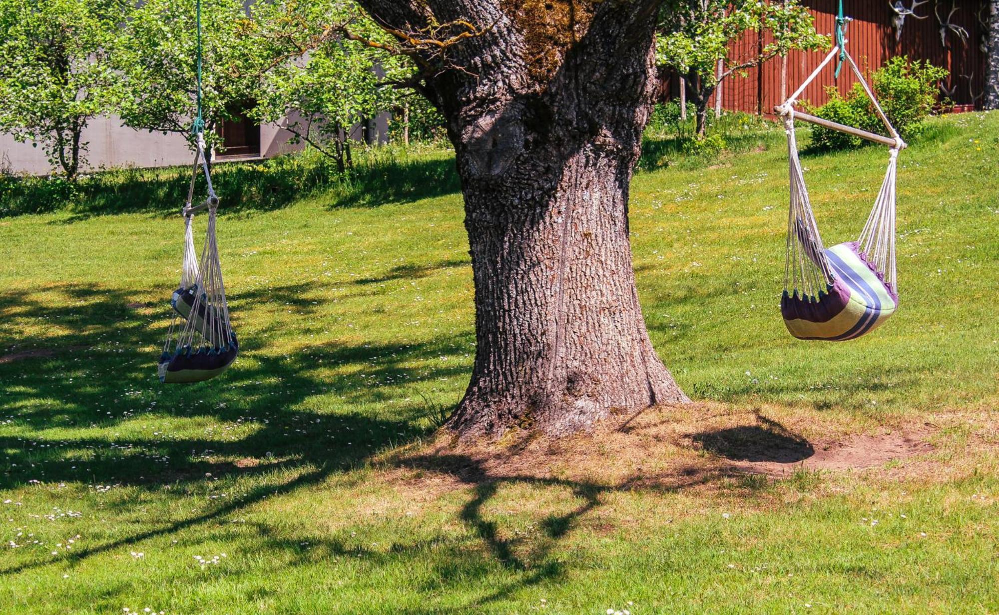 Villa Lejasbisenieki Turaida Esterno foto